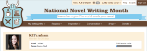 nanowrimo dashboard