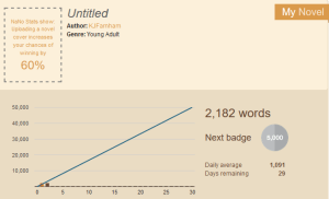 nanowrimo progress